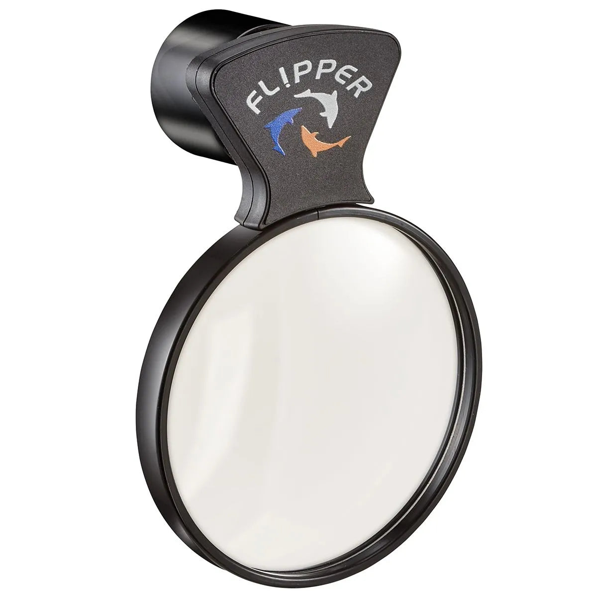 Flipper magnifying glass on a white background