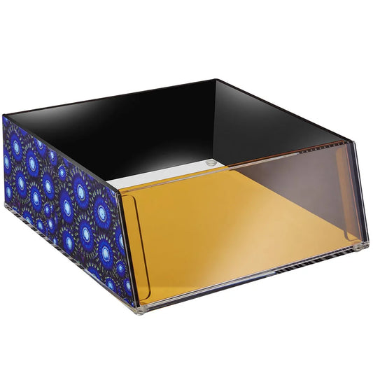 Flipper look down coral box with orange removable filter