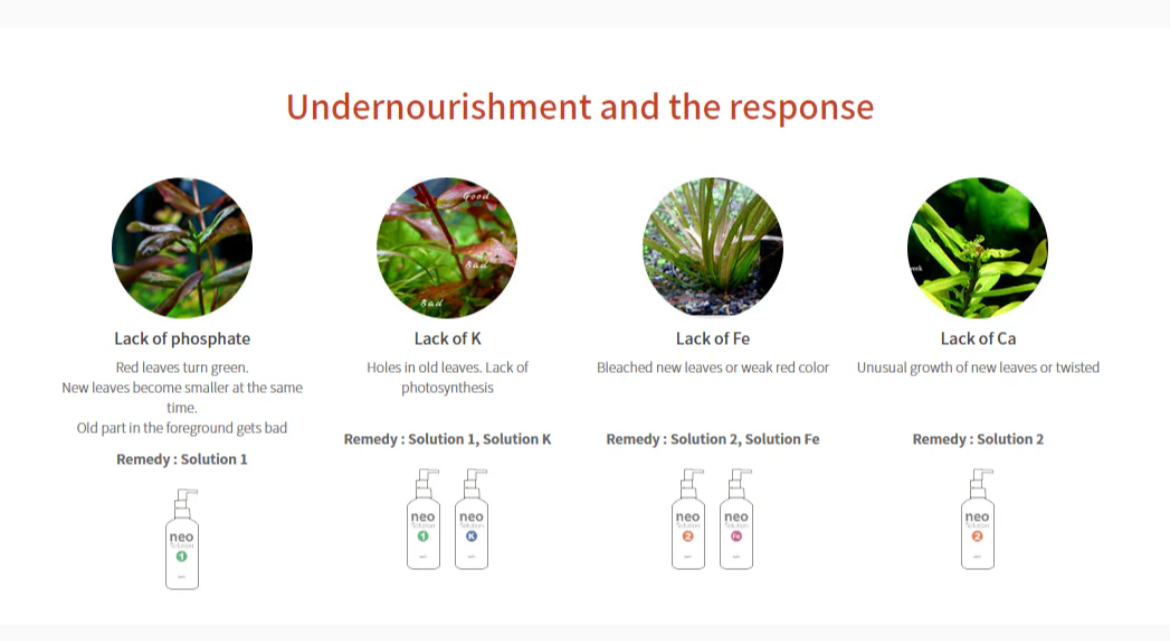 Educational slide about plant nutrition issues and remedies on a white background