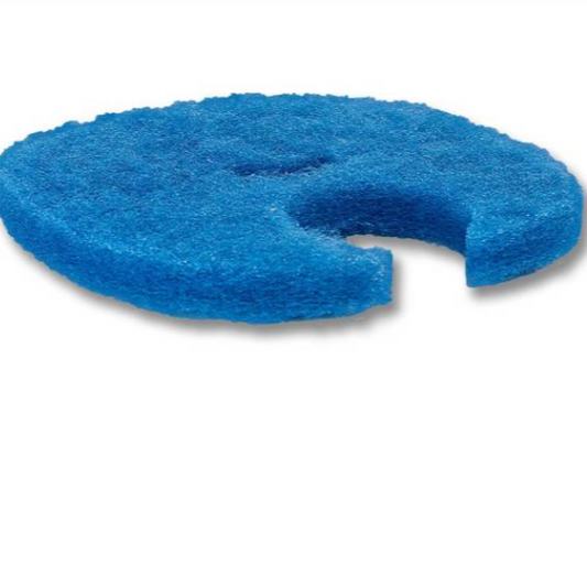 Blue foam filter disc on a white background