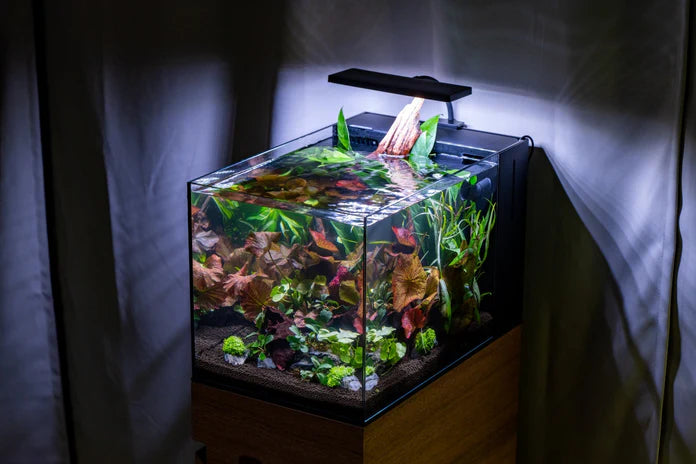 Aqua Worx EOS LED Light - N7, RGB