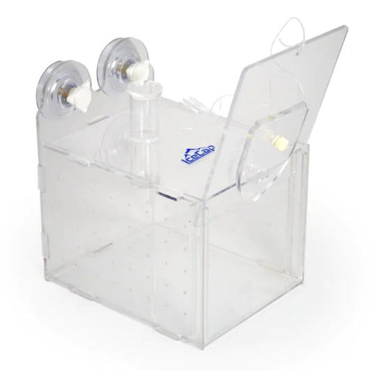 Clear plastic container with suction cups on a white background