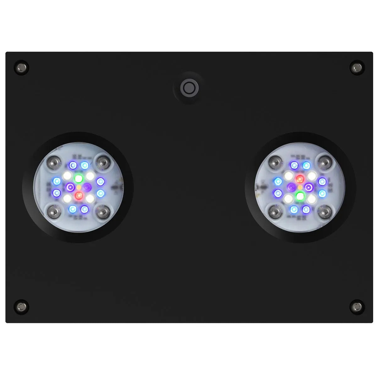 Black rectangular light fixture with two circular LED lights on a white background