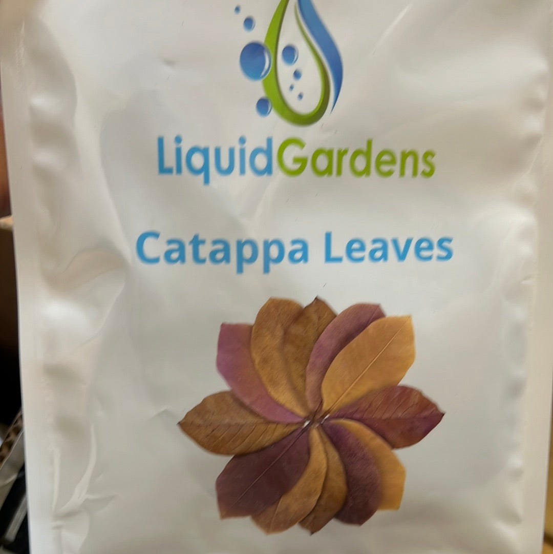 Liquid Gardens Catappa Leaves 10pk