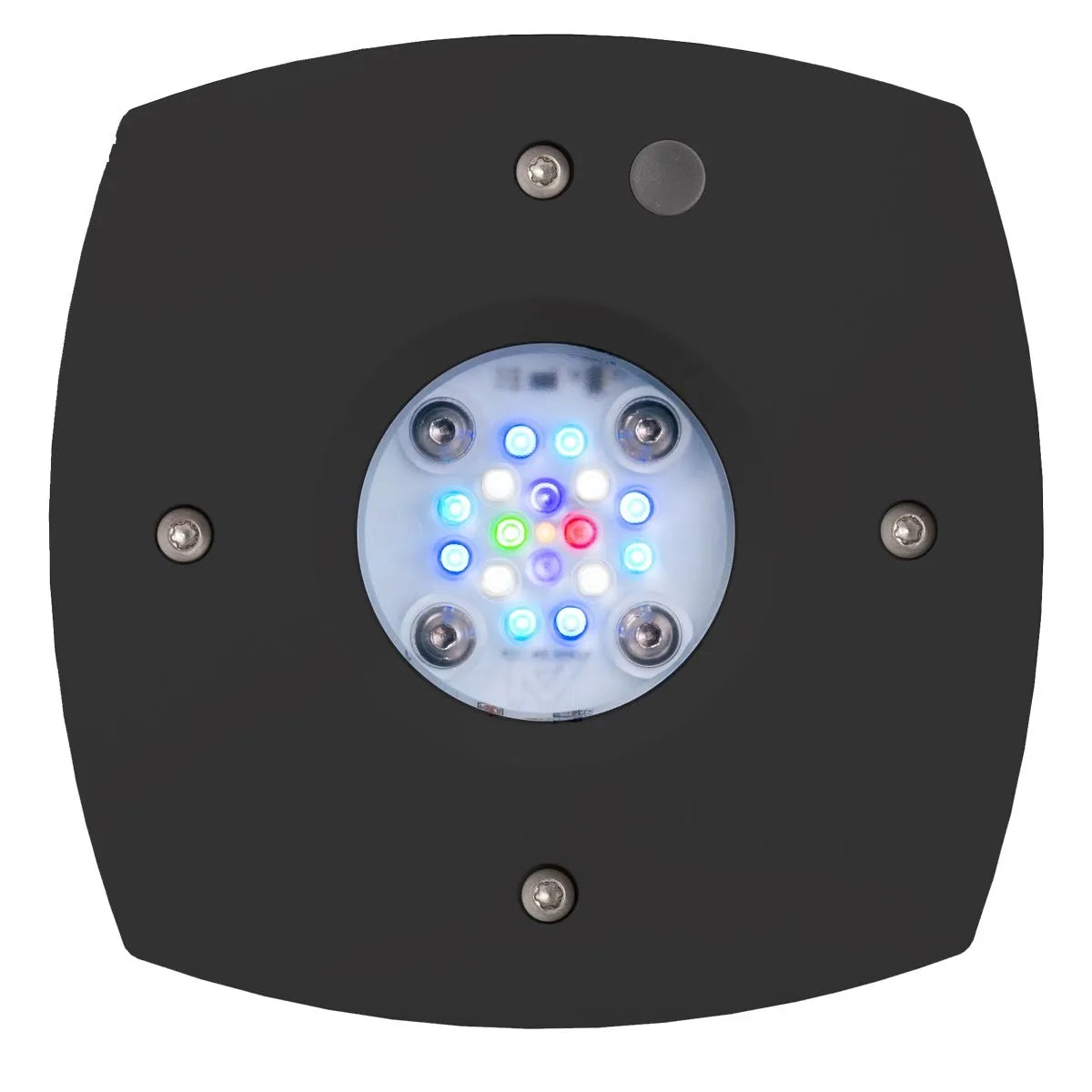 Black square light fixture with multicolored LED lights on a white background