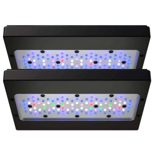 Two LED grow lights with visible LEDs on a white background
