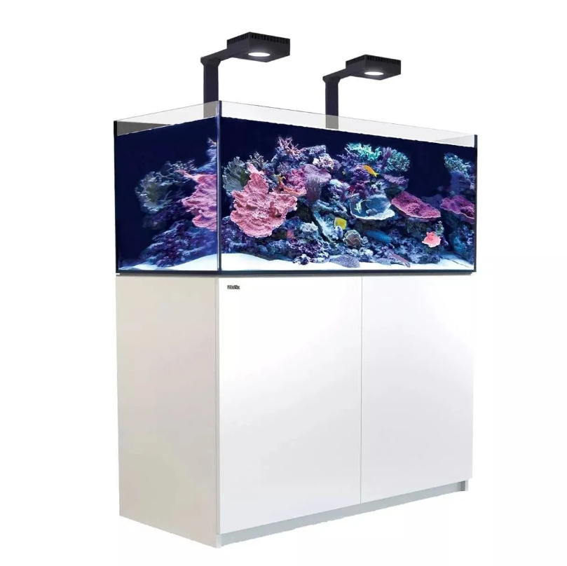 Aquarium with coral display on a white background white stand reefer 425