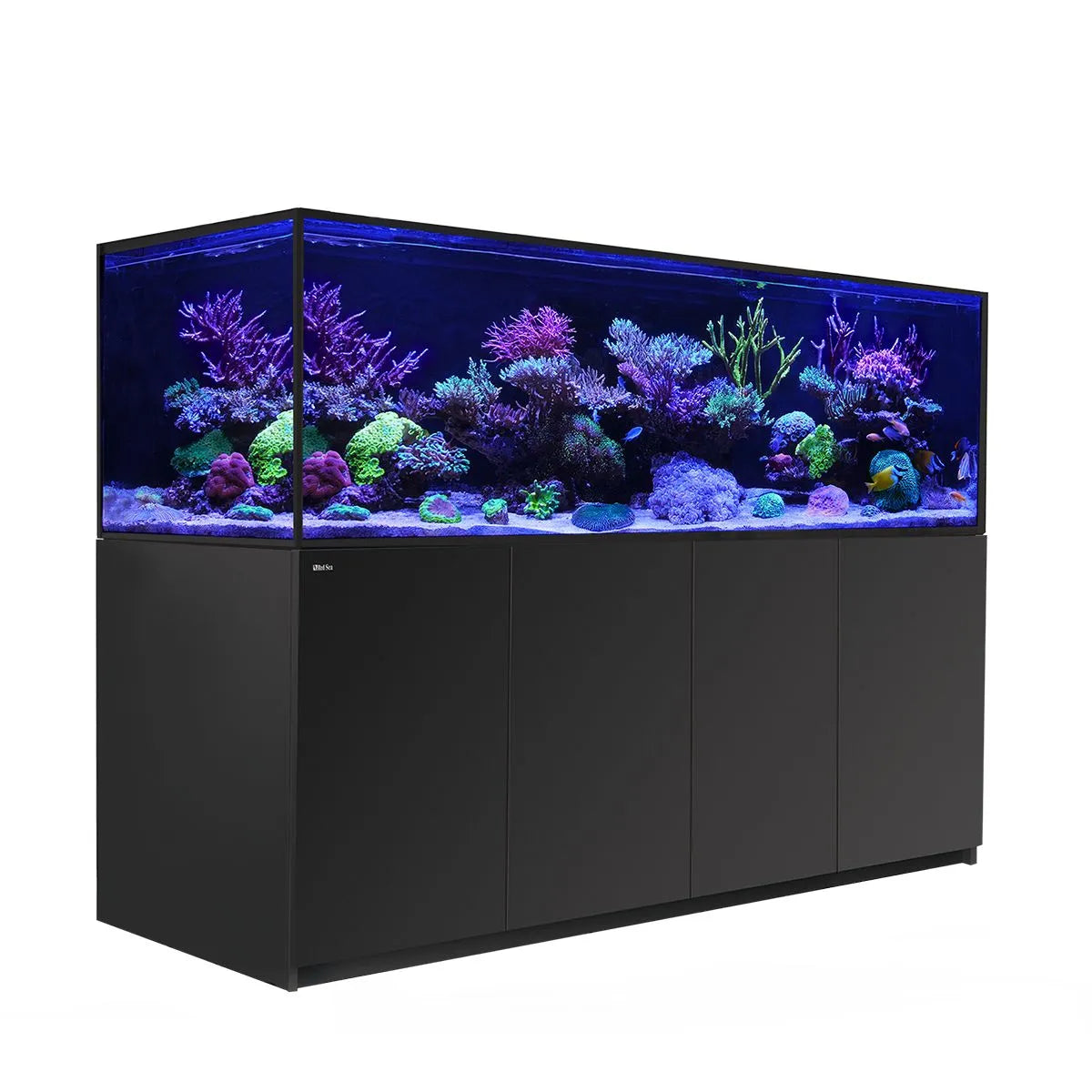 Large aquarium with colorful coral and fish on a white background