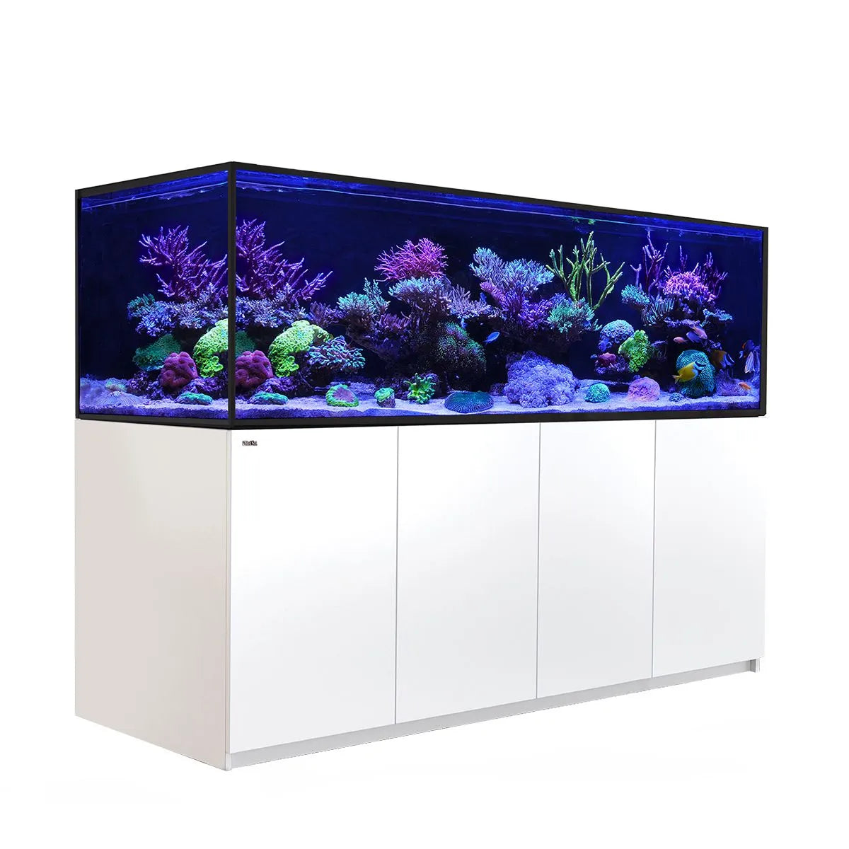 Large aquarium with colorful coral and fish on a white cabinet