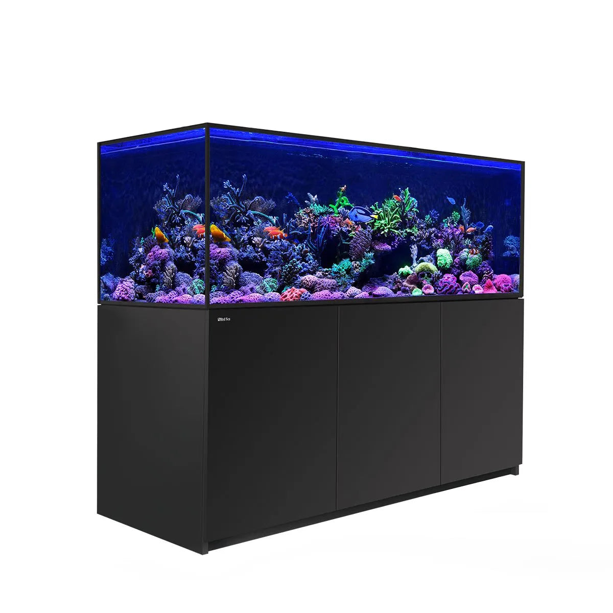 Aquarium full of colorful fish and coral on a black stand on a white background