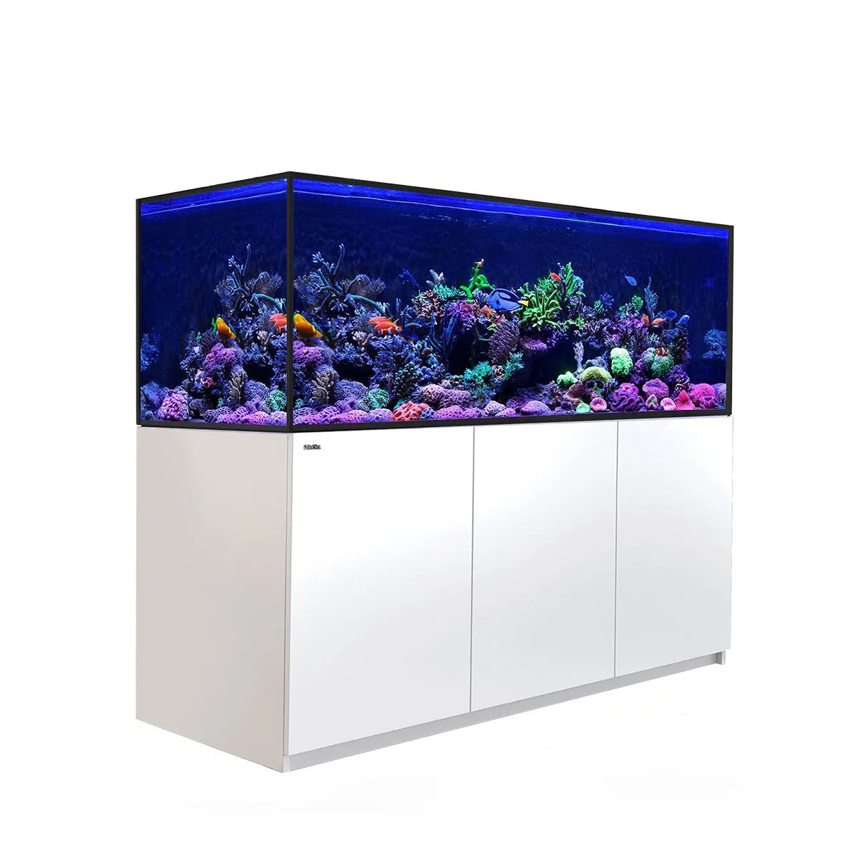 aquarium full of colorful coral and fish on the white stand on a white background