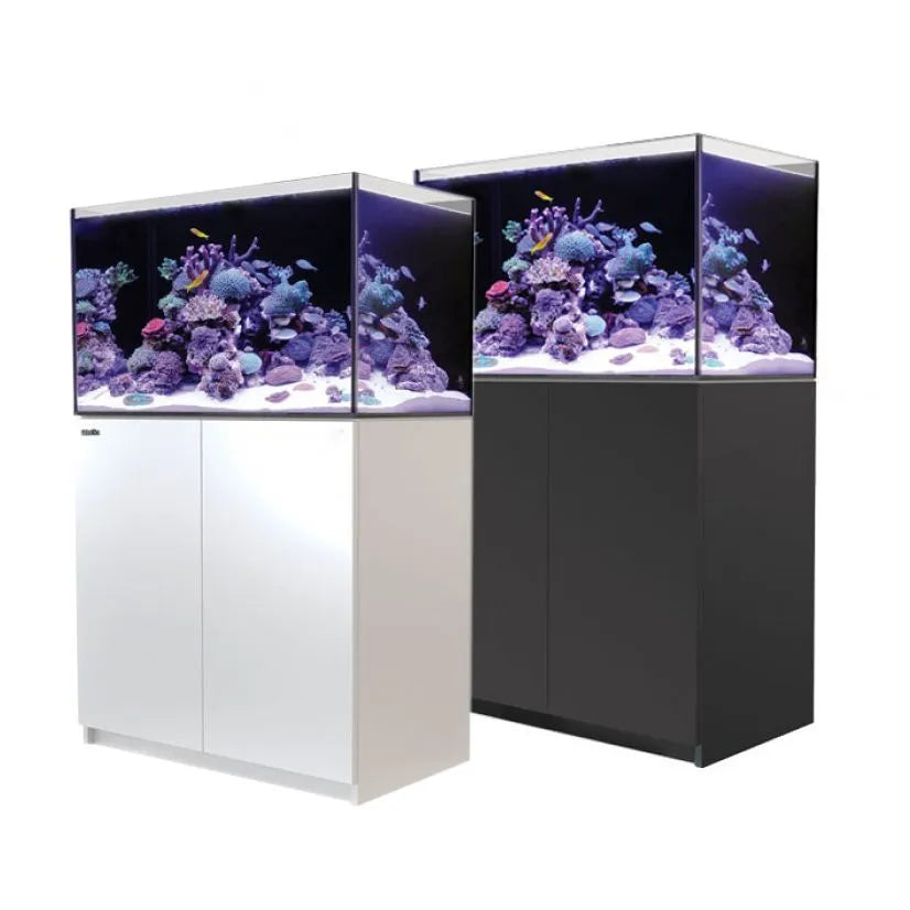 Two aquariums with coral setups on a white background