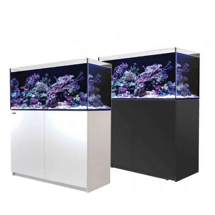 Two aquariums with colorful coral and fish on a white background