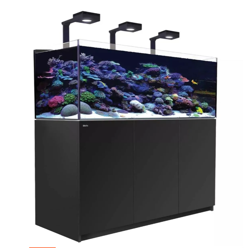 Large aquarium with black stand coral and fish on a white background