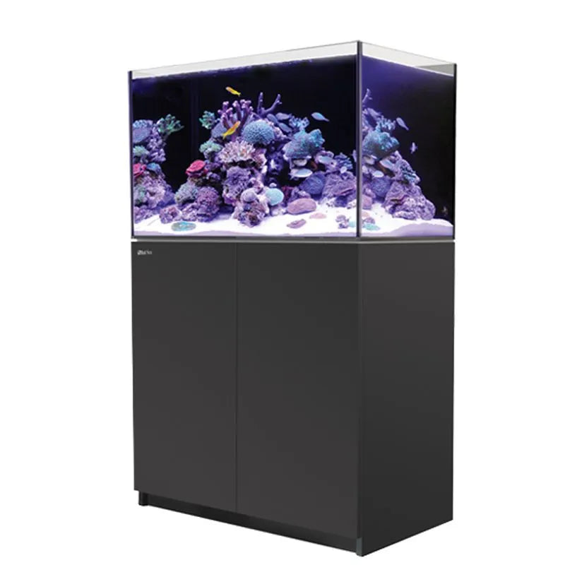 Aquarium with coral and fish on a white background