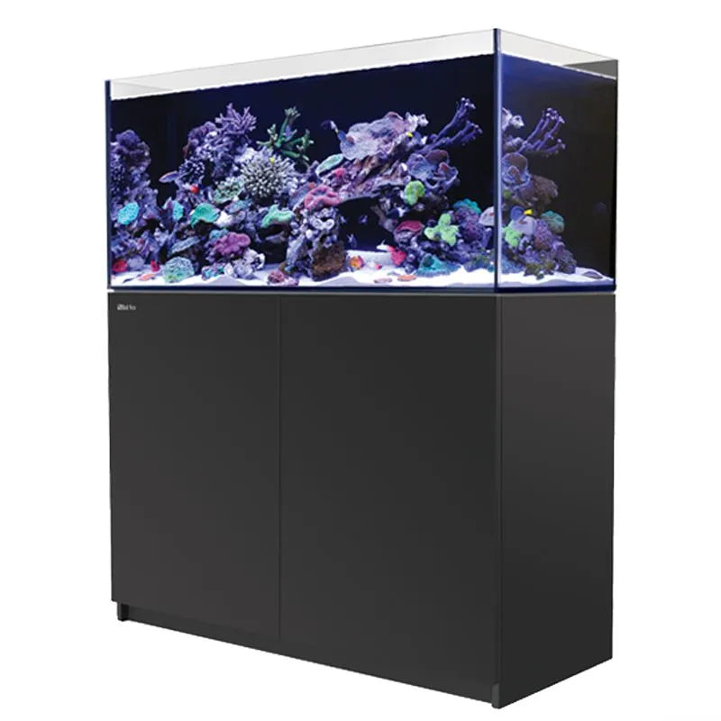 Aquarium with coral and rocks on a black stand against a white background