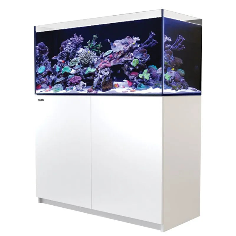 Aquarium with coral and fish on a white cabinet