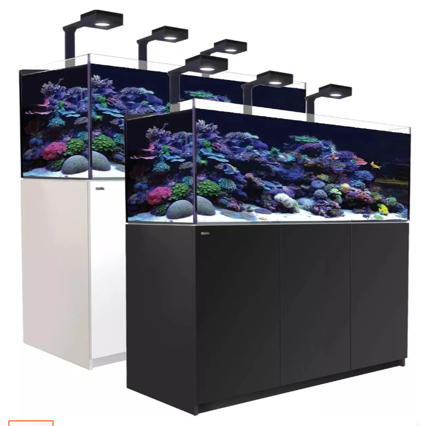 Aquarium setup with colorful coral and fish on a white background