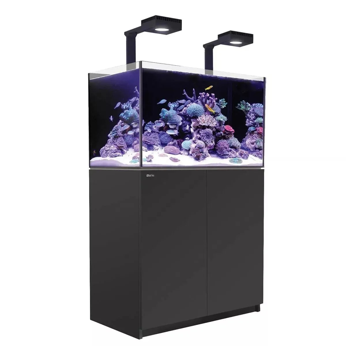 Aquarium with coral and fish on a white background