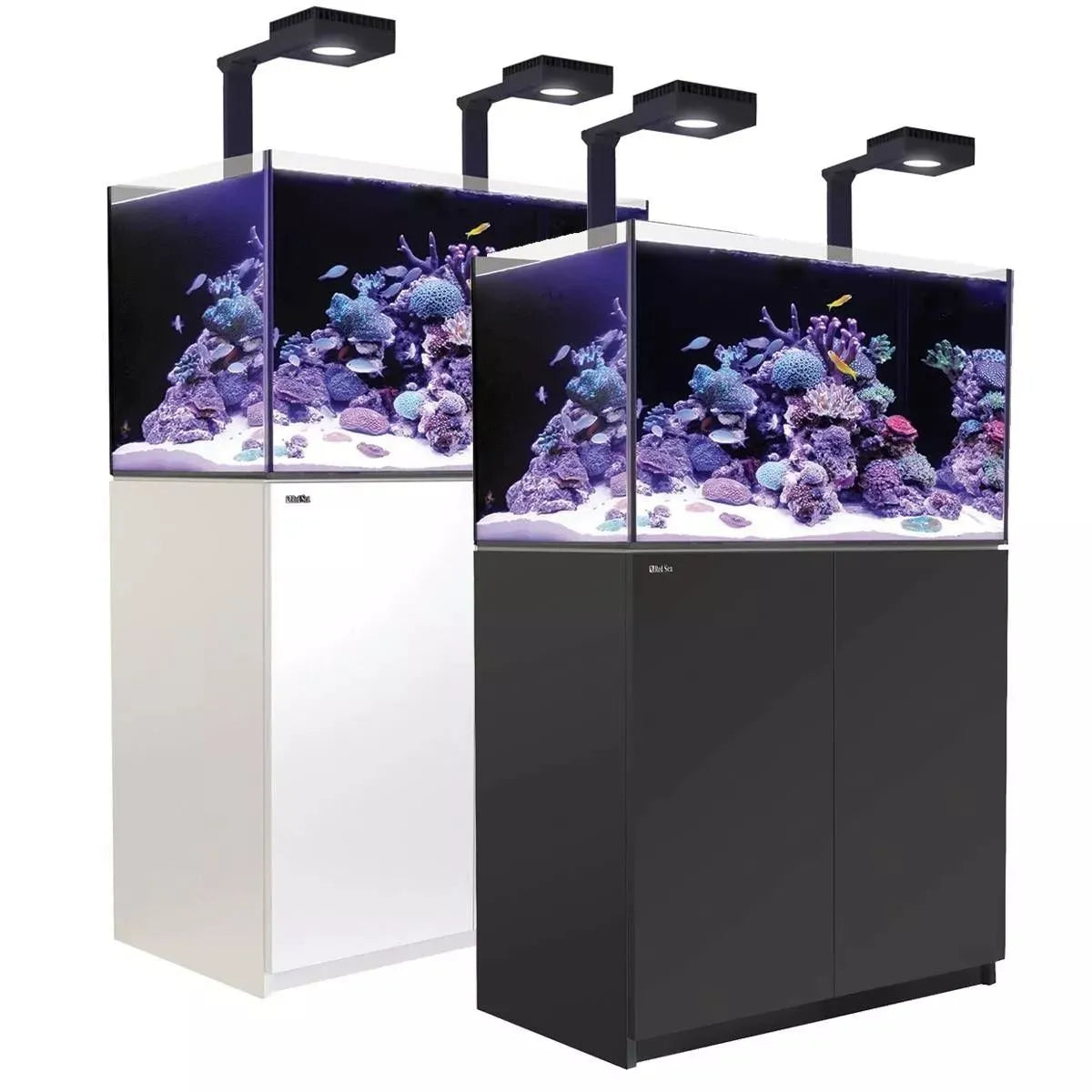 Two aquariums with coral and fish on a white background