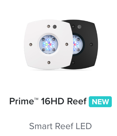 AI Prime 16 HD Saltwater Reef Black