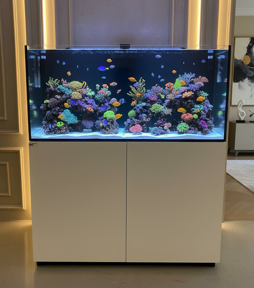 Tank & Stand Aquariums