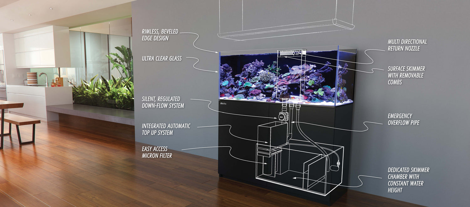 Aquariums