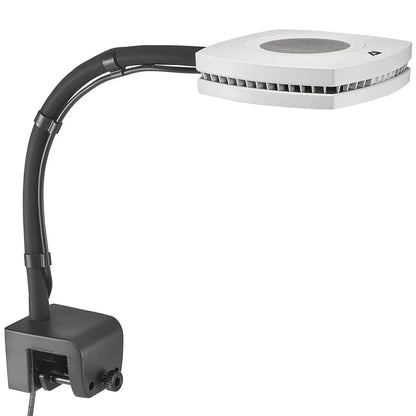 Lamp with adjustable arm on a white background