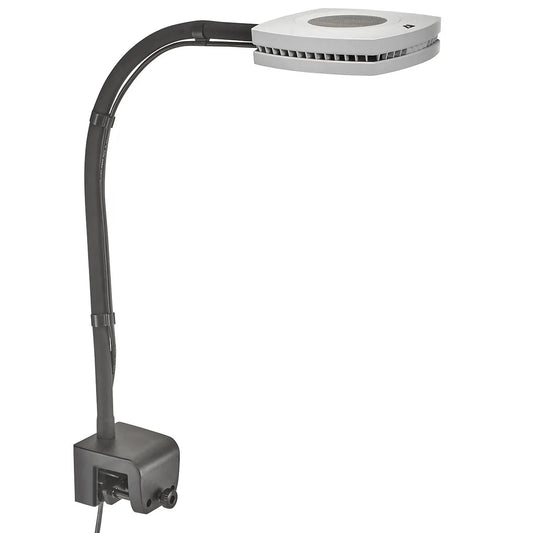 Lamp with a flexible neck on a white background