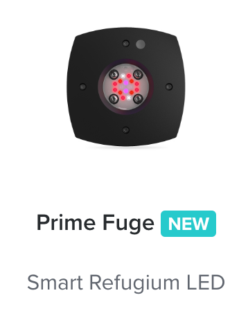 AI Prime 16 HD Fuge Black