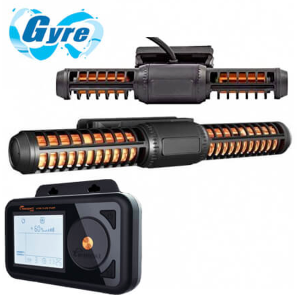 Maxspect Jump Gyre 4K