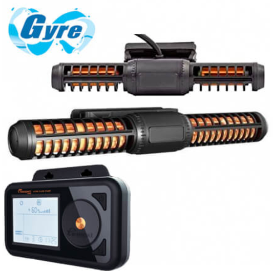 Maxspect Jump Gyre 4K