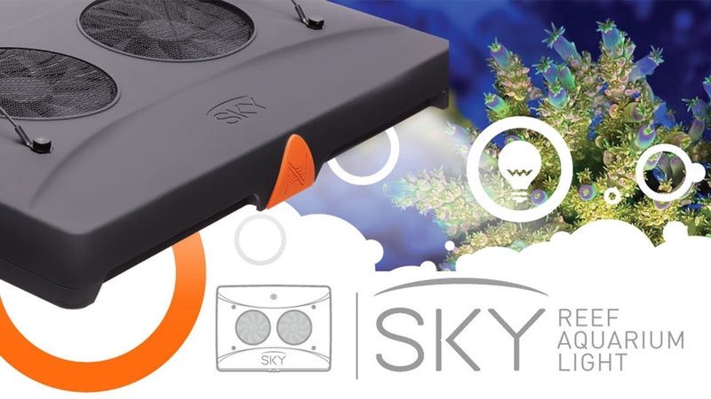 SKY LED Light Neptune