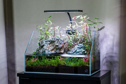 Aqua Worx EOS LED Light - N7, RGB