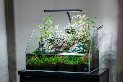 Aqua Worx EOS LED Light - N7, RGB