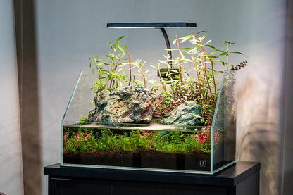 Aqua Worx EOS LED Light - N7, RGB