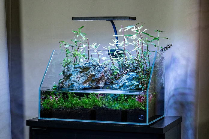 Aqua Worx EOS LED Light - N7, RGB