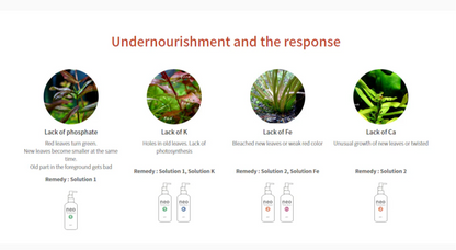 Educational slide about plant nutrition issues and remedies on a white background