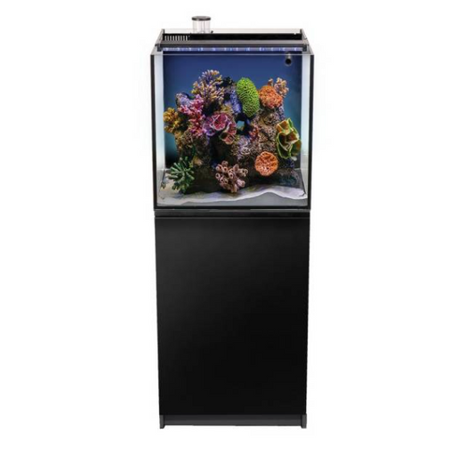 Aquarium with colorful coral and fish on a black stand against a white background