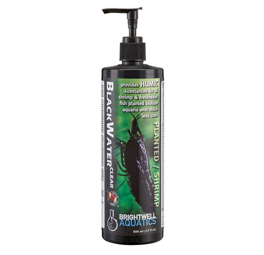 BlackWaterClear bottle with pump on a white background