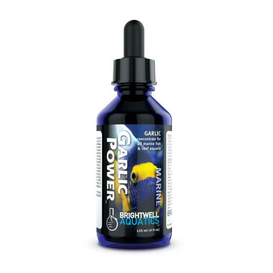 Bottle of Garlic Power Marine supplement by Brightwell Aquatics on a white background