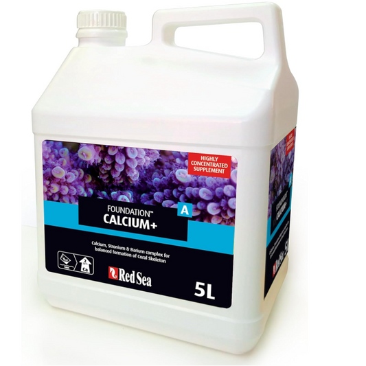White container of Red Sea Foundation Calcium+ supplement on a white background