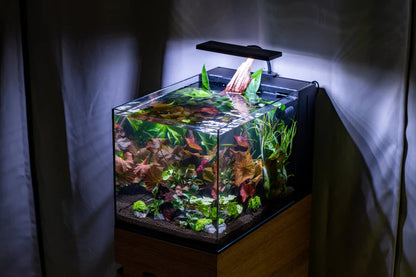Aqua Worx EOS LED Light - N7, RGB