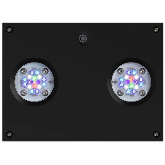 Black rectangular light fixture with two circular LED lights on a white background