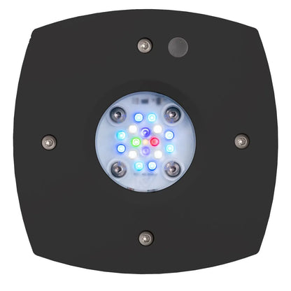 Black square light fixture with multicolored LED lights on a white background