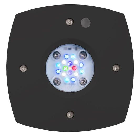 Black square light fixture with multicolored LED lights on a white background
