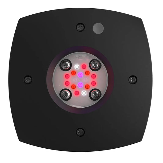 Ai Prime Refugium led light in black on a white background