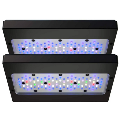 Two LED grow lights with visible LEDs on a white background