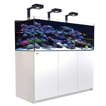 Large aquarium with white stand colorful coral and fish on a white cabinet