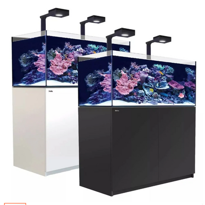 Two aquariums with coral and fish on a white background reefer 425 with reef led lighting white and black stand